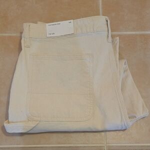 American Eagle Carpenter Pants